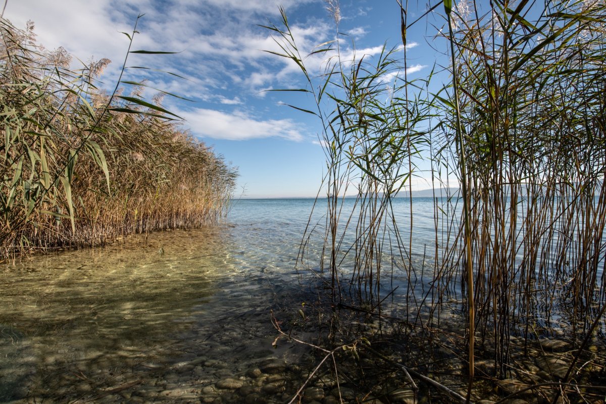 L'eau est source de vie, préservons-la pour notre survie. Monique Moreau